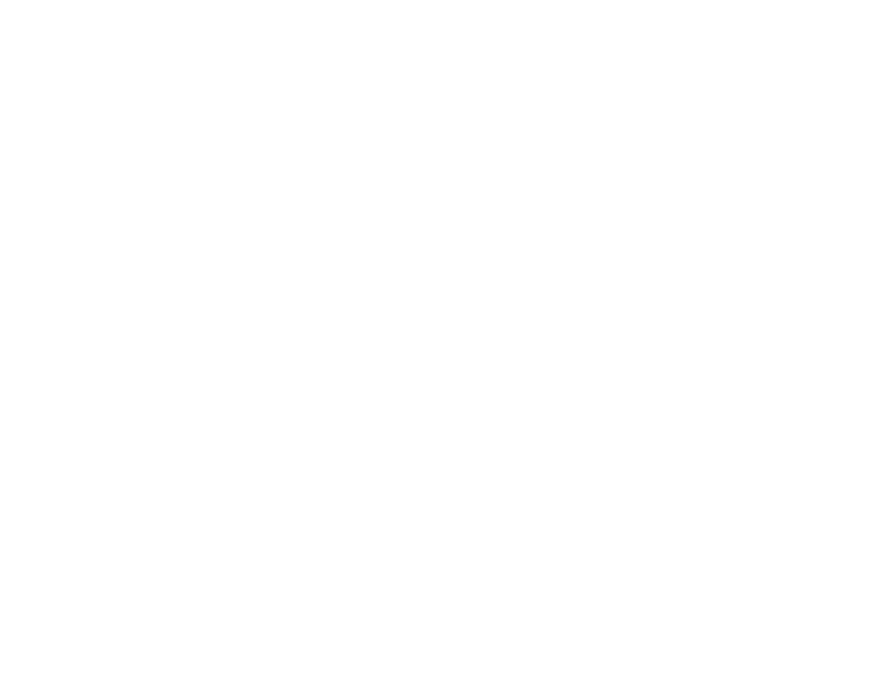 NET PROTECT